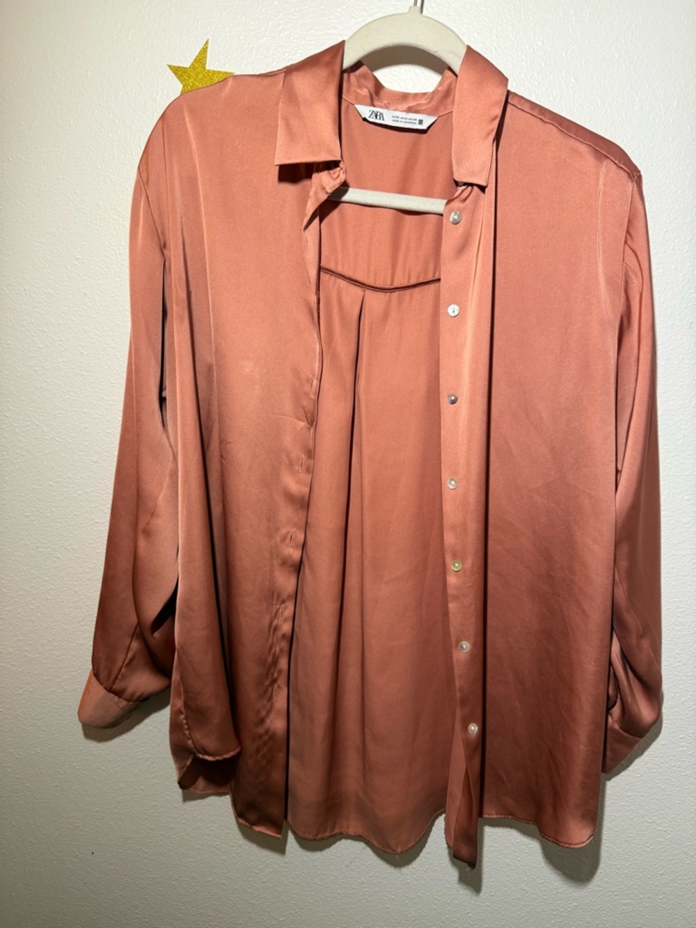 Zara Satin Button-Down Shirt in Rust